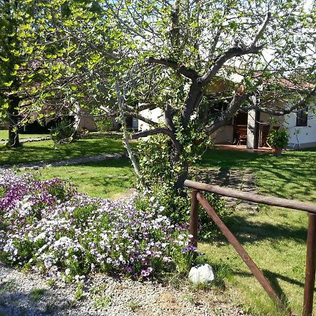 Вілла Agriturismo Sicomoro Капальбіо Екстер'єр фото