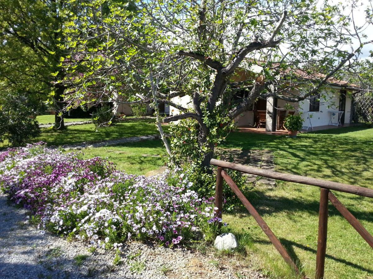 Вілла Agriturismo Sicomoro Капальбіо Екстер'єр фото